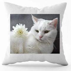 Personalised Cushion Cover or a photo Custom Pillows with Cushion Cover gift for Special Occations