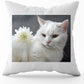 Personalised Cushion Cover or a photo Custom Pillows with Cushion Cover gift for Special Occations